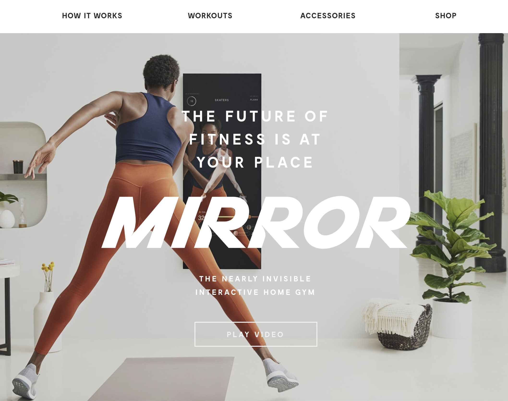 Mirror Website
